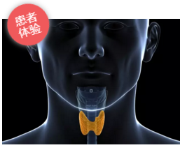 WT7GTM`0YD5%%~NX8J5XCQV.png WT7GTM`0YD5%%~NX8J5XCQV.png