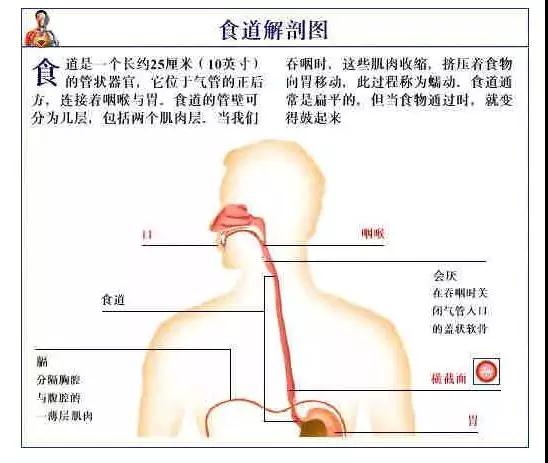 微信图片_20180620161102.jpg